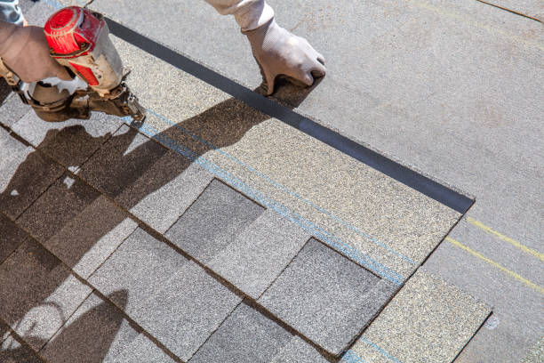 Best Roof Ventilation Installation  in Tarboro, NC